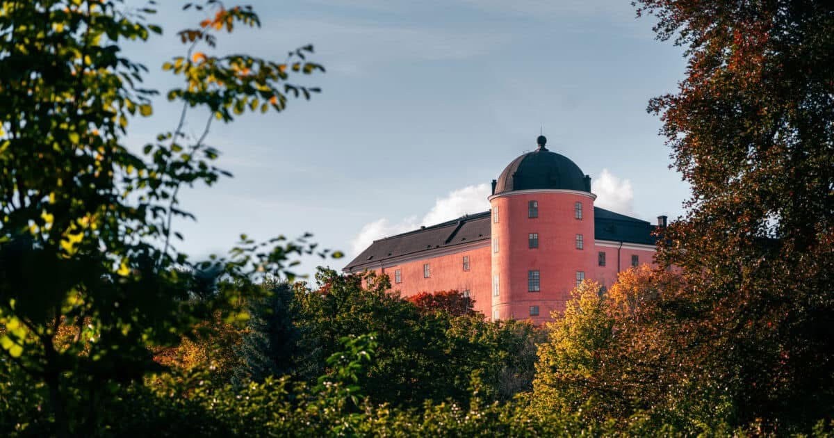Bild Från torn till torn. Foto Gustaf Dalesjö Destination Uppsala.jpg